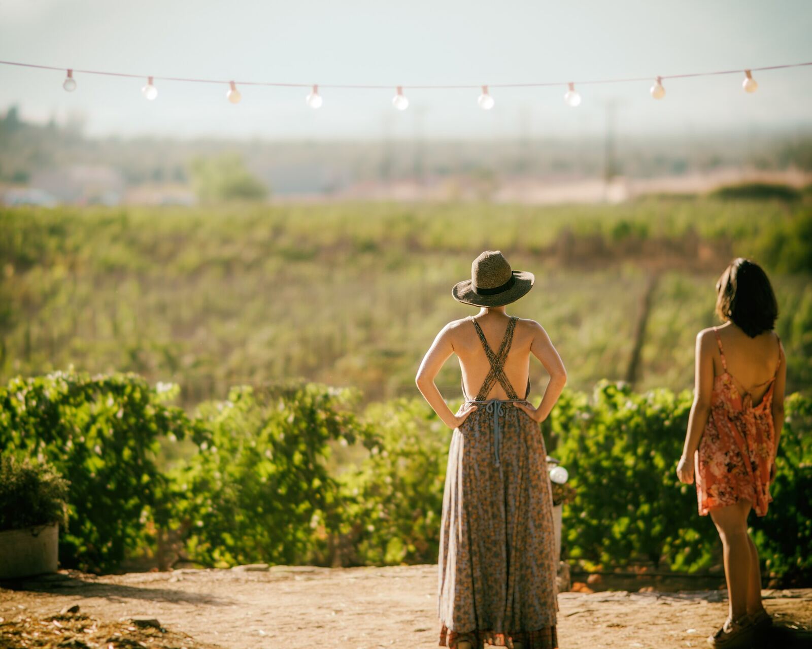 Two friends walking between vineyard rows under string lights
